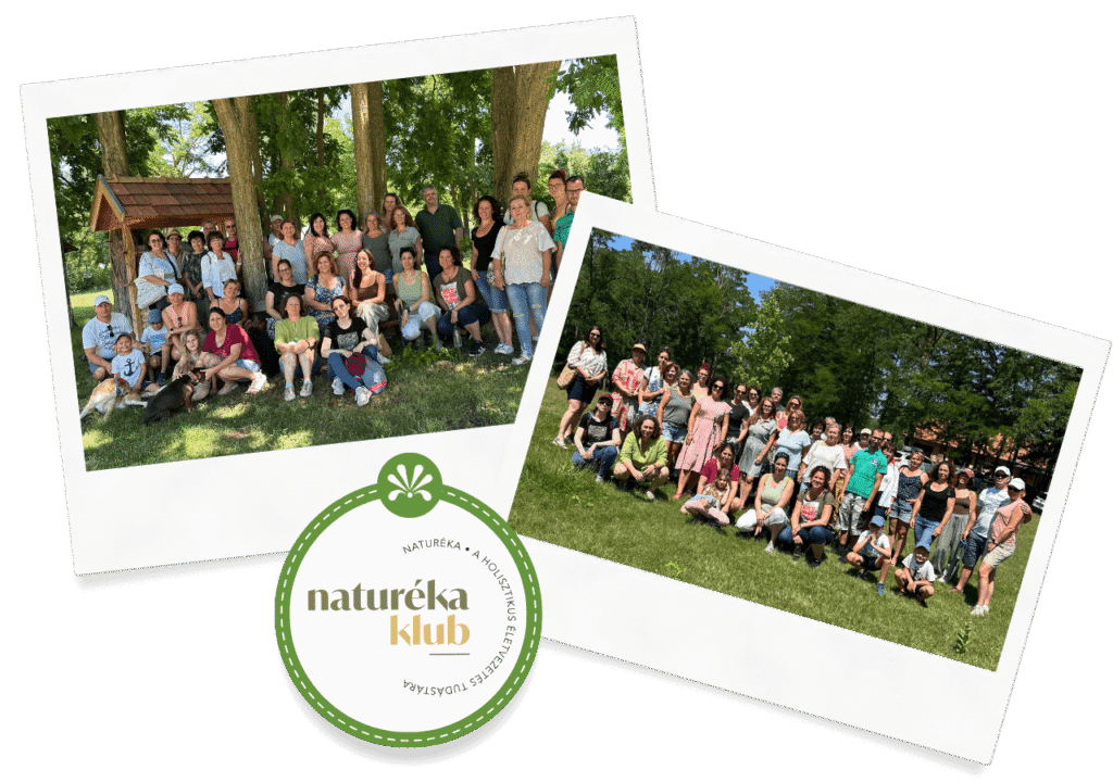 Naturéka Klub közösségi találkozók